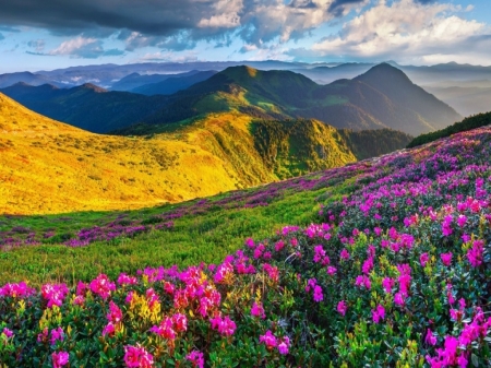 Blossoming Hillsides - cloud, sky, meadow, clouds, flowers, mountain