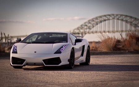 Lamborghini - fun, car, cool, lamborghini