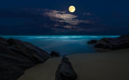 Full Moon Night - night, beach, full moon, rocks