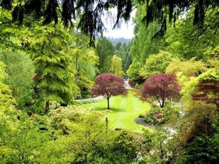 Botanical Garden - trees, botanical, canada, garden