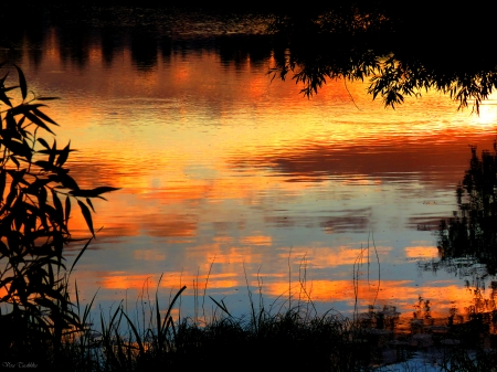 Sunrise - morning, summer, pond, sunrise