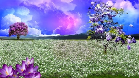 ~*~ Flowery Field ~*~ - narure, landscape, flowers trees, hd wallpaper, mountains, sunset, flowery field, spring