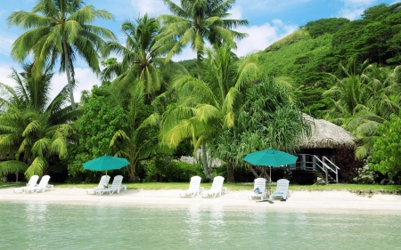 summer resort - shack, umbrella, beach, chair