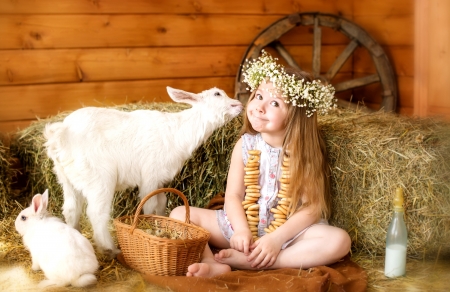 Thank you kiss - fun, hay, hair, white, rabbit, baby, mood, cute, little, goat, kid, girl, milk, summer, set, child, kiss, animal, sweet, smile, feet, flower, blonde