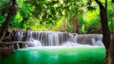 Forest Waterfall - river, forest, waterfall, flow