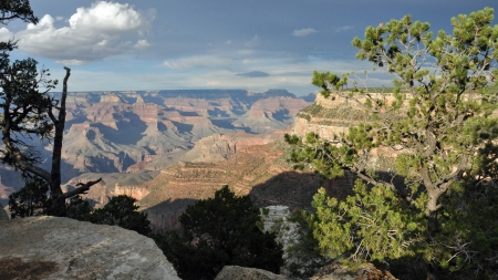 Grand Canyon - Evening, Phil Brown, Canyon Rim, Grand Canyon, Widescreen