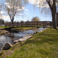 Upstate NY city park