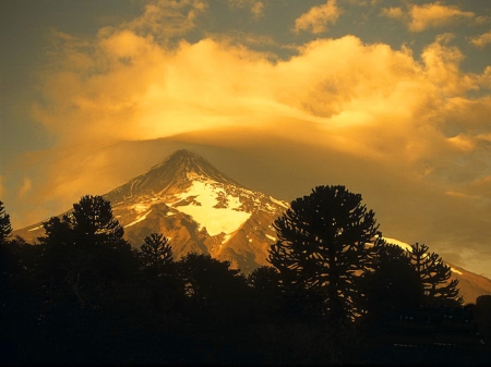 Winter Sunset - nature, forest, clouds, snow, winter, mountains, sunset