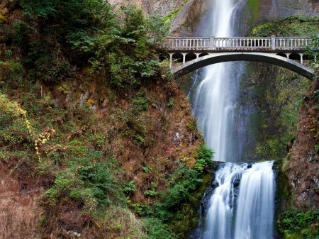 Mountains Falls - waterfalls, trees, nature, landscape, bridge