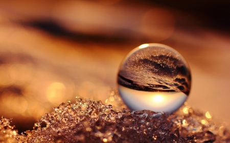 Water Drops - water, autumn, macro, drops