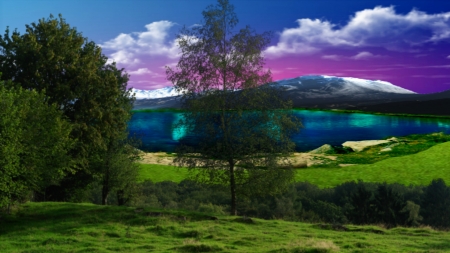 ~*~ Landscape ~*~