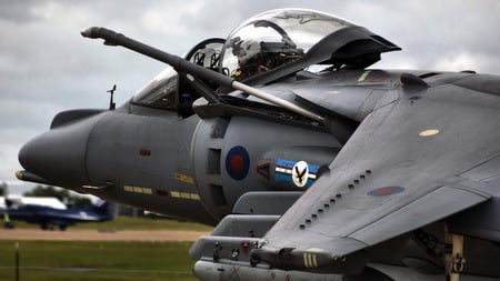 Royal Air Force Harrier - fighter, jet, wing, carrier, recon