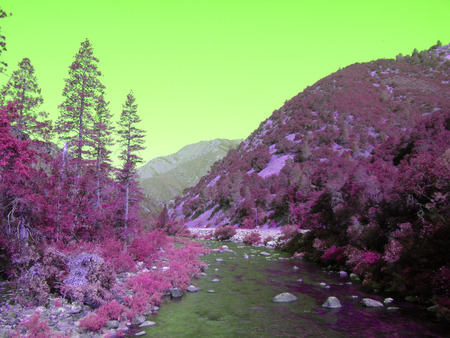 Pink nature - nature, 3d