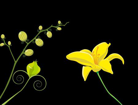 Flower - abstract, yellow, flower