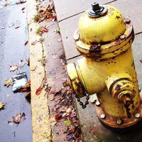 Yellow Hydrant