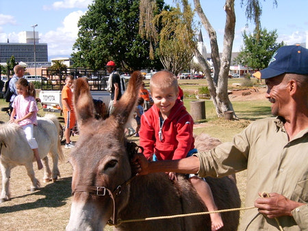 A Wonderful Ride - children, donkey