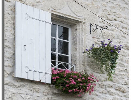 flowery window - flowery, white, window, wall