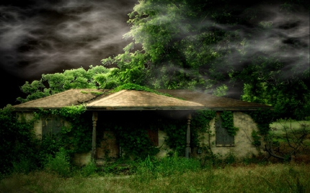 dark clouds - house, dark, plant, clouds