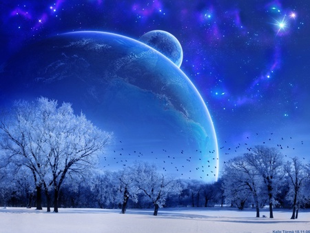 Blue Sky - space, moon, star, blue, tree, sky