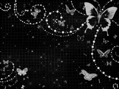 BLACK  BUTTERFLY - white, wallpaper, butterfly, black