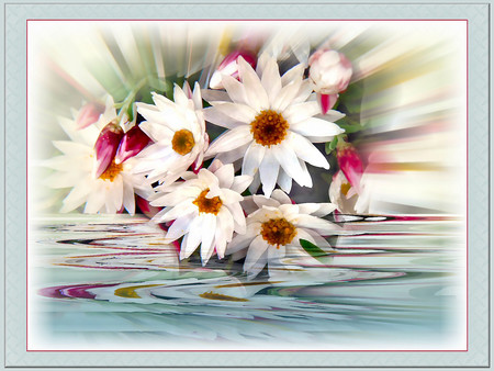 Flowers - flowers, 3d