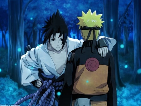 Naruto & Sasuke - sasuke, naruto