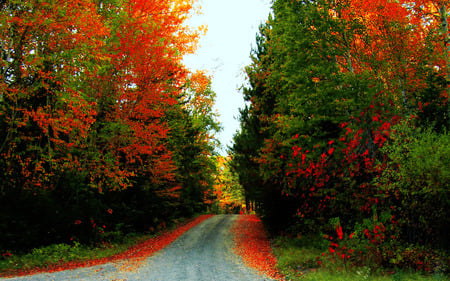 Wakami Lake Provincial Park - autumn, fall, wakami lake, sultan, provincial park, northern ontario, chapleau