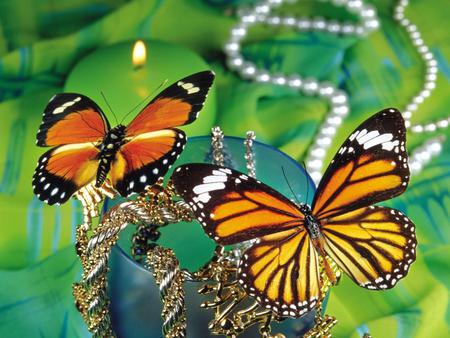 Butterflies - butterflies, animal, beads