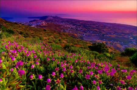 Sunset wildflowers - valley, sky, slope, mountain, sunset, meadow, summer, amazing, purple, beautiful, wildflowers