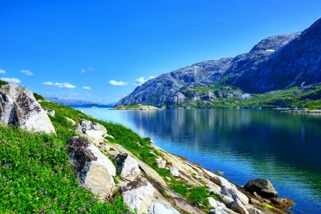 Summer river - sky, mountain, summer, reflection, river, beautiful, blue, stones, grass, wildflowers