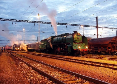 Old Trains - rails, railroad, vintage, steam, cars