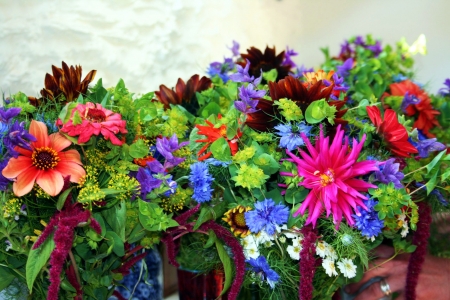 Colorful Flowers - blossoms, dahlia, petals, leaves, daisies