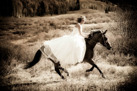 Cowgirl Bride - horse, trees, cowgirl, field, bride, black and white, dress