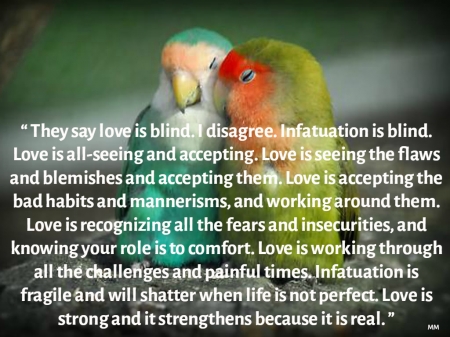 Love is... - animals, quotes, words, thoughts, love, birds