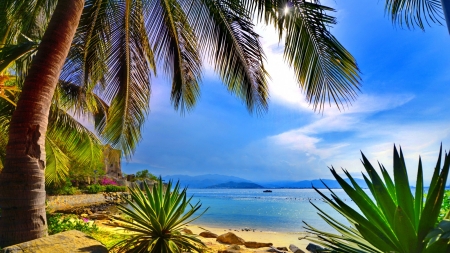 Dreamy Beach - clouds, paradise, palms, tropical, sea