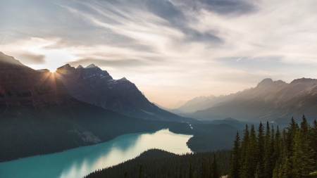 Peyto Lake - lake, forest, cool, fun, nature, mountain