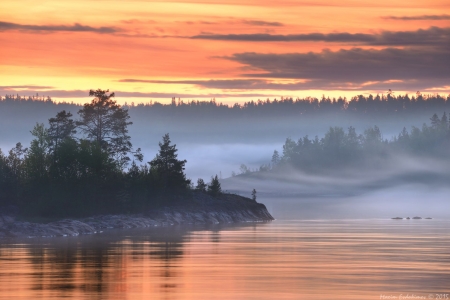 sunset - nature, fun, lake, cool, forest, sunset