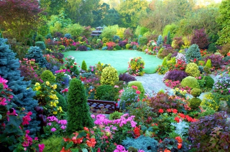 Flower Garden - bush, trees, blossoms, plants, colors, lawn