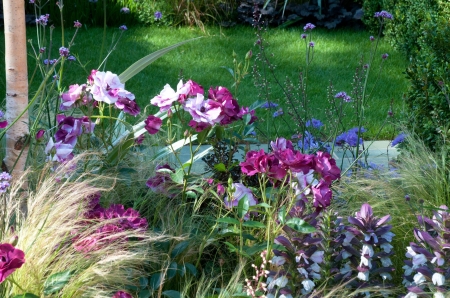 Mixed Flowers - lawn, buds, blossoms, colors, garden