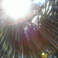 hello sunshines colour...ciao...besh...