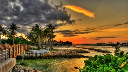 Close of Day - nature, lake, trees, clouds, sunset, palm, bridge