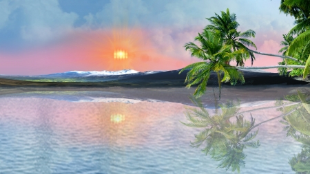 ~*~ Reflections ~*~ - sunset, nature, HD wallpaper, coconut tree, landscape, sea, ocean, reflection