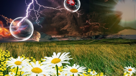 Thunderstorm - ladybug, cloud, field, daisies, bubbles