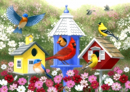 Colors of the Seasons - animals, goldfinches, birdhouses, spring, bluebirds, nature, cardinals, love four seasons, flowers, garden, lovely flowers, birds