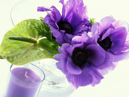 Purple Anemone - candle, blossoms, artwork, petals