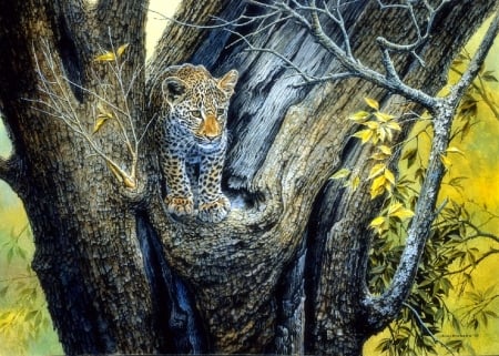 Leopard Juvenile in Tree - wildlife, leopard, love four seasons, big wild cats, draw and paint, animals, paintings