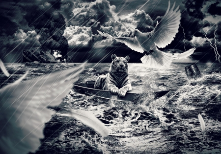 Fantasy with tiger and doves - storm, bird, dove, ship, boat, sea, ocean, tiger, black, white, animal, cloud, waves, bw