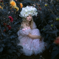 Summer flower