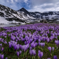 Rila National Park Bulgaria