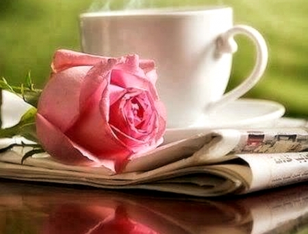 Rose and Coffee - coffee, masgazine, rose, beautiful